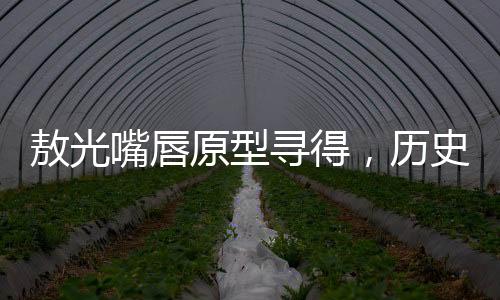 敖光嘴唇原型尋得，歷史與藝術(shù)的美妙交融