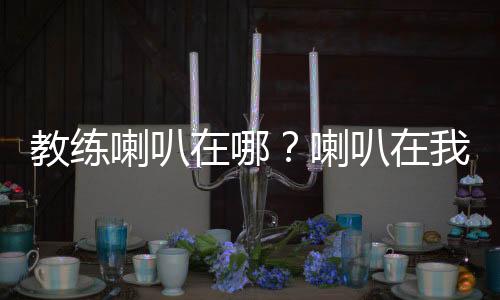 教練喇叭在哪？喇叭在我嘴里，嗶