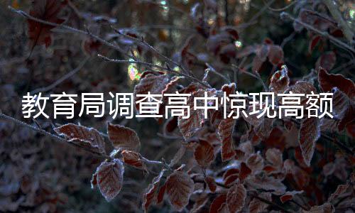 教育局調(diào)查高中驚現(xiàn)高額打印費事件，涉及背后的真相與深思
