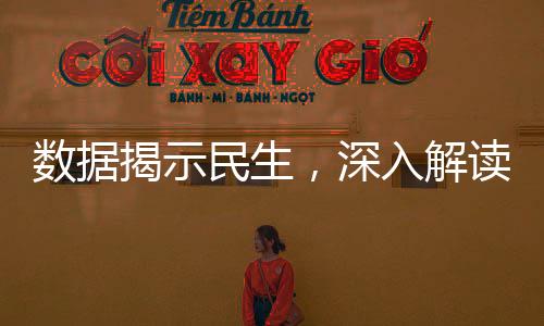 數(shù)據(jù)揭示民生，深入解讀社會動(dòng)態(tài)與人民生活變遷