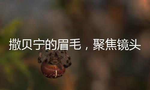 撒貝寧的眉毛，聚焦鏡頭下的獨(dú)特魅力
