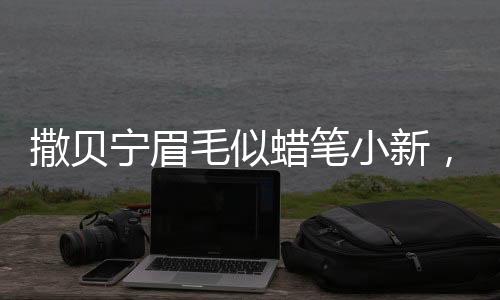 撒貝寧眉毛似蠟筆小新，網(wǎng)友熱議與形象魅力探討