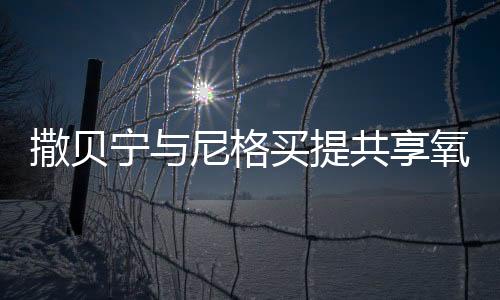 撒貝寧與尼格買提共享氧氣瓶，一段探險(xiǎn)旅程的生動(dòng)見證