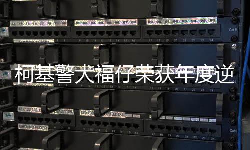 柯基警犬福仔榮獲年度逆天改命獎(jiǎng)