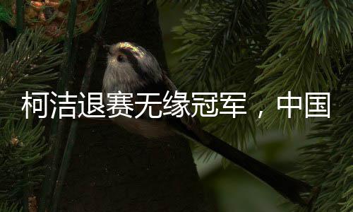 柯潔退賽無緣冠軍，中國圍棋協(xié)會正式回應(yīng)