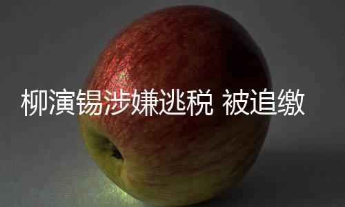 柳演錫涉嫌逃稅 被追繳70億韓元