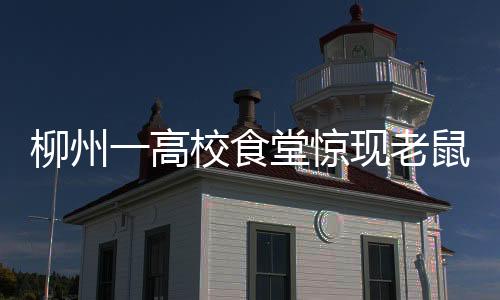 柳州一高校食堂驚現(xiàn)老鼠爬上煮面桶，衛(wèi)生安全引發(fā)關注