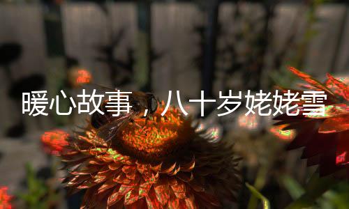 暖心故事，八十歲姥姥雪路鏟三公里接女孩回家