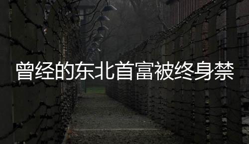 曾經(jīng)的東北首富被終身禁入證券市場，揭幕財富風(fēng)云背后的警示故事