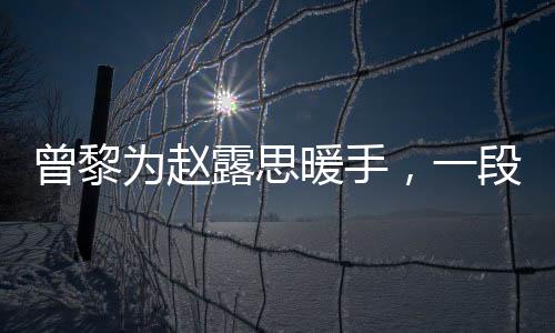 曾黎為趙露思暖手，一段溫馨的情感瞬間