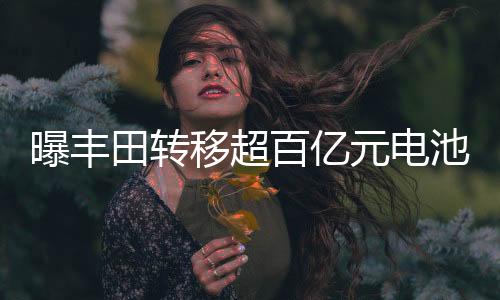曝豐田轉(zhuǎn)移超百億元電池訂單，電池行業(yè)的重新洗牌？深度解讀新動態(tài)！