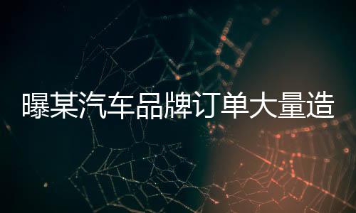 曝某汽車品牌訂單大量造假，深度調(diào)查與揭秘