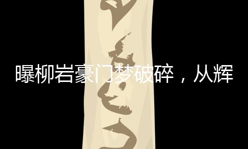 曝柳巖豪門夢破碎，從輝煌到現(xiàn)實(shí)的轉(zhuǎn)折點(diǎn)