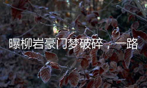 曝柳巖豪門夢破碎，一路跌宕起伏的心路歷程