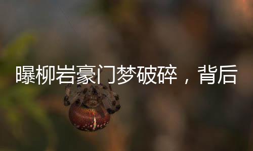 曝柳巖豪門(mén)夢(mèng)破碎，背后的故事引人深思
