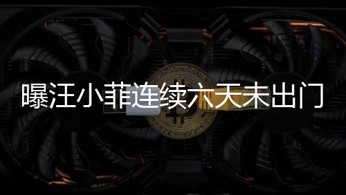 曝汪小菲連續(xù)六天未出門，S媽回應(yīng)