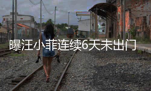 曝汪小菲連續(xù)6天未出門，引發(fā)關(guān)注熱議，S媽回應(yīng)傳聞