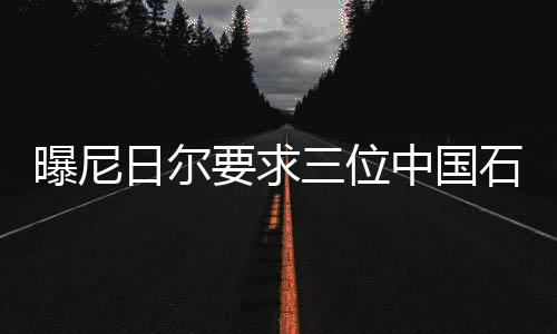 曝尼日爾要求三位中國石油高管離境，引發(fā)國際關注