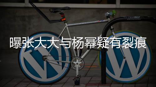 曝張大大與楊冪疑有裂痕，昔日友情或已告一段落？