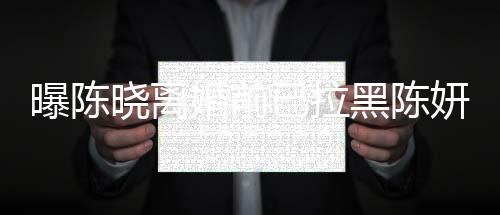 曝陳曉離婚前已拉黑陳妍希，一段婚姻走向終結(jié)的背后故事