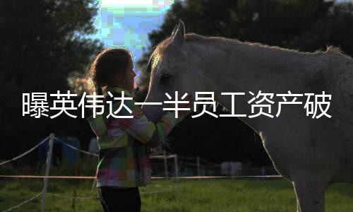 曝英偉達(dá)一半員工資產(chǎn)破億元 近8成員工是百萬富翁