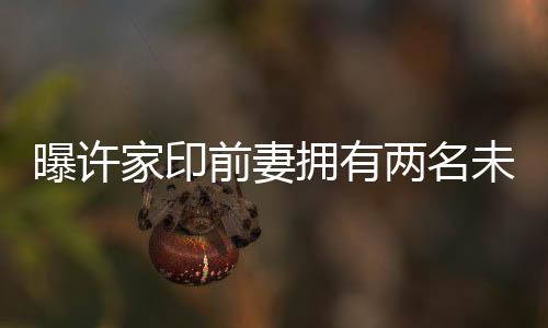 曝許家印前妻擁有兩名未成年子女，內(nèi)幕解析與生活軌跡探秘