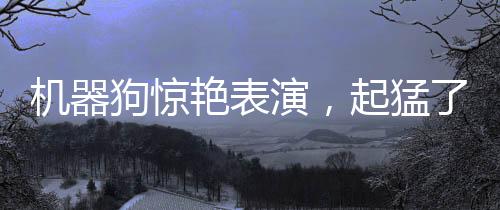 機(jī)器狗驚艷表演，起猛了，舞動科技之魅