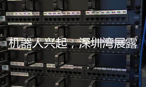 機(jī)器人興起，深圳灣展露科技新風(fēng)貌——機(jī)器人在深圳灣跑步的嶄新篇章