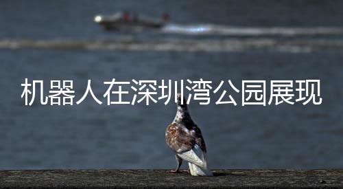 機器人在深圳灣公園展現(xiàn)新風(fēng)貌，跑步競賽的新時代篇章
