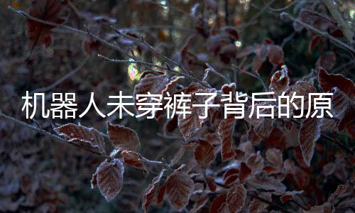 機(jī)器人未穿褲子背后的原因