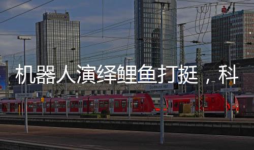 機(jī)器人演繹鯉魚打挺，科技賦予力量，被推倒后瞬間起身