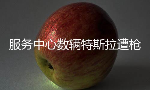 服務中心數(shù)輛特斯拉遭槍擊火焚 馬斯克：瘋狂且錯誤
