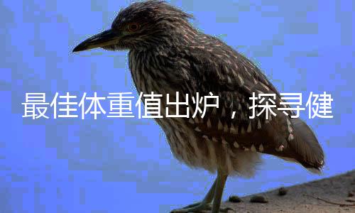 最佳體重值出爐，探尋健康與美麗的平衡點(diǎn)