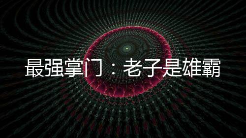 最強(qiáng)掌門：老子是雄霸