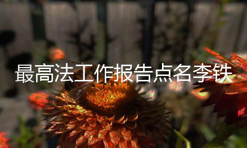 最高法工作報(bào)告點(diǎn)名李鐵案，揭示案件背景與法治進(jìn)程