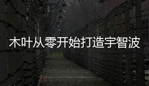 木葉從零開始打造宇智波雙穿海賊