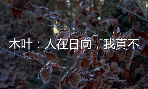 木葉：人在日向，我真不是老六啊