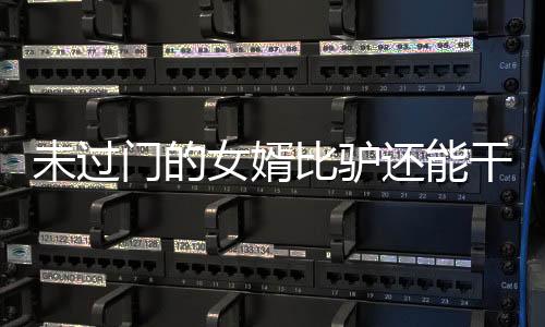 未過(guò)門(mén)的女婿比驢還能干，鄉(xiāng)村傳奇故事中的獨(dú)特力量
