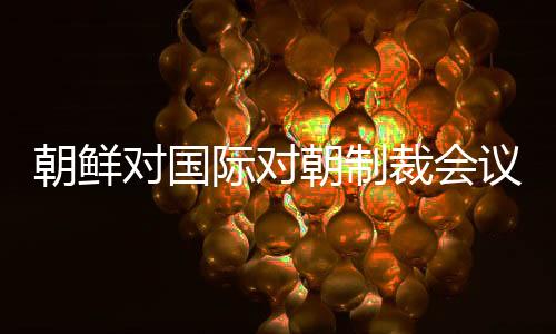 朝鮮對(duì)國(guó)際對(duì)朝制裁會(huì)議的態(tài)度分析