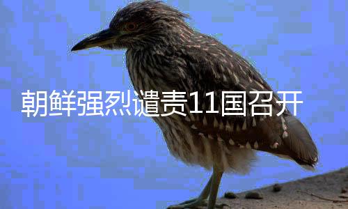 朝鮮強烈譴責11國召開對朝制裁會議，國際社會應(yīng)對朝政策進行反思