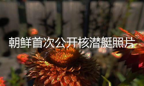 朝鮮首次公開核潛艇照片，揭示的深層意義與未來展望