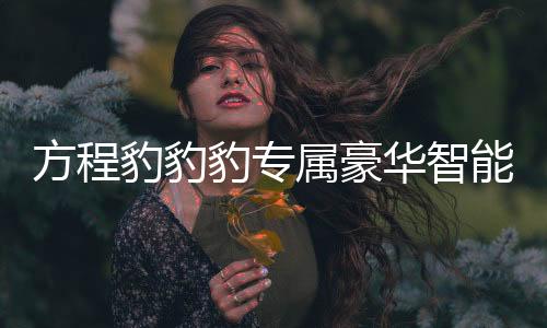 方程豹豹豹專屬豪華智能駕駛體驗(yàn)重磅揭曉 —— 一次突破創(chuàng)新的出行革新之旅