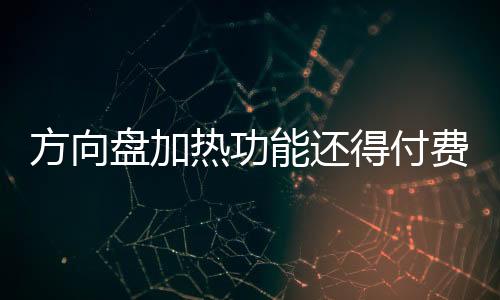 方向盤加熱功能還得付費(fèi)訂閱 新能源汽車消費(fèi)糾紛調(diào)查