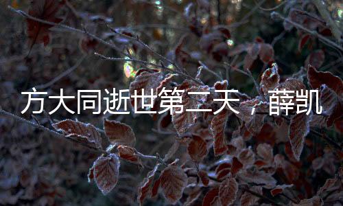 方大同逝世第二天，薛凱琪唱歌爆哭，緬懷音樂傳奇