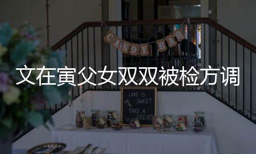 文在寅父女雙雙被檢方調(diào)查，揭秘背后的故事