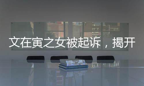 文在寅之女被起訴，揭開(kāi)事件真相的序幕