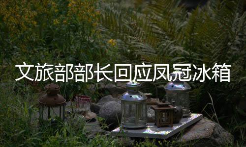 文旅部部長回應鳳冠冰箱貼走紅現象