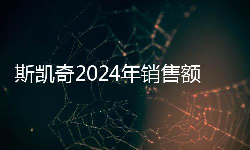 斯凱奇2024年銷售額突破89.7億大關(guān)，業(yè)績穩(wěn)步增長的背后