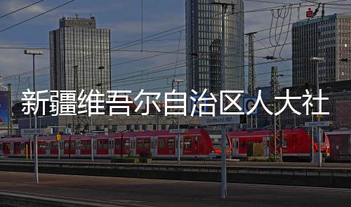 新疆維吾爾自治區(qū)人大社會(huì)建設(shè)委員會(huì)主任委員張巖被查