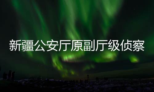 新疆公安廳原副廳級偵察員黃河被查，揭露案件細節(jié)引人深思